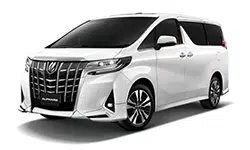 alphard30